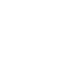 icono decoratico escudo